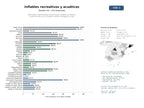 estudios de mercado y posicionamiento en chats de inteligencia artificial de Fabricantes y distribuidores de estructuras inflables recreativas, acuáticas y de ocio, incluyendo castillos, toboganes y spas