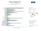 estudios de mercado y posicionamiento en chats de inteligencia artificial de Comercio online de bolsos y calzado de lujo, réplicas y segunda mano, con accesorios de moda premium