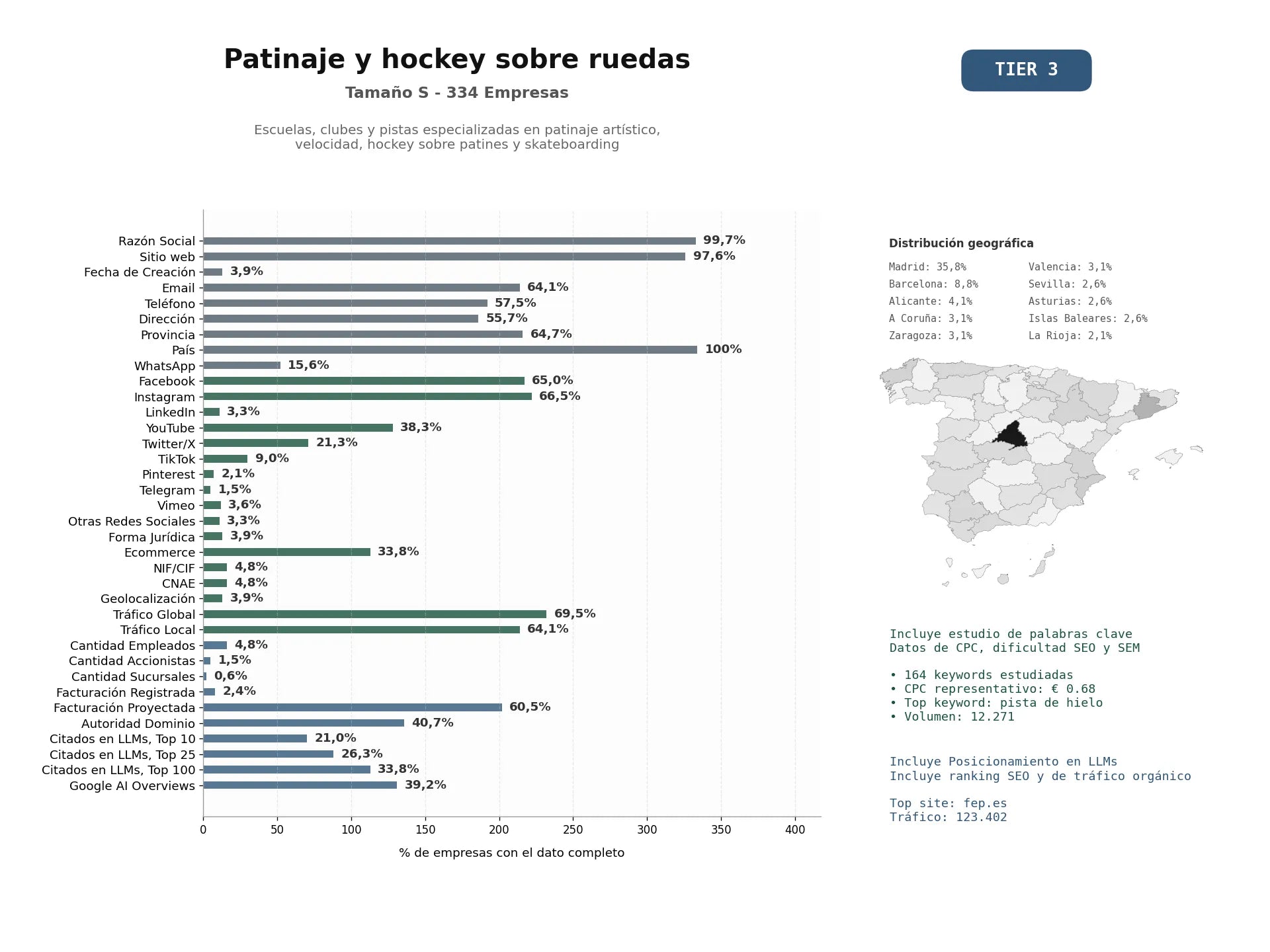 estudios de mercado y posicionamiento en chats de inteligencia artificial de Escuelas, clubes y pistas especializadas en patinaje artístico, velocidad, hockey sobre patines y skateboarding