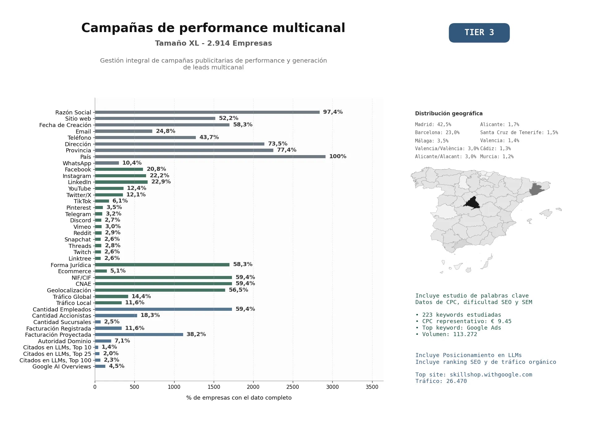 estudios de mercado y posicionamiento en chats de inteligencia artificial de Gestión integral de campañas publicitarias de performance y generación de leads multicanal