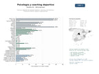 estudios de mercado y posicionamiento en chats de inteligencia artificial de Servicios integrales de psicología deportiva, coaching y entrenamiento mental para atletas, equipos y organizaciones
