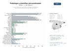 estudios de mercado y posicionamiento en chats de inteligencia artificial de Clínicas y proveedores especializados en podología, ortopodología y fabricación de plantillas personalizadas para salud del pie