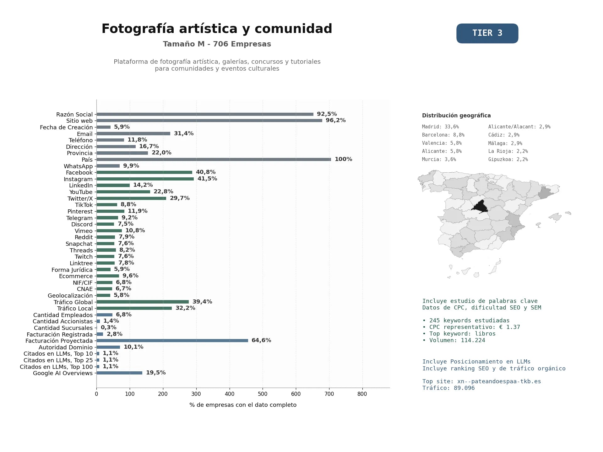 estudios de mercado y posicionamiento en chats de inteligencia artificial de Plataforma de fotografía artística, galerías, concursos y tutoriales para comunidades y eventos culturales