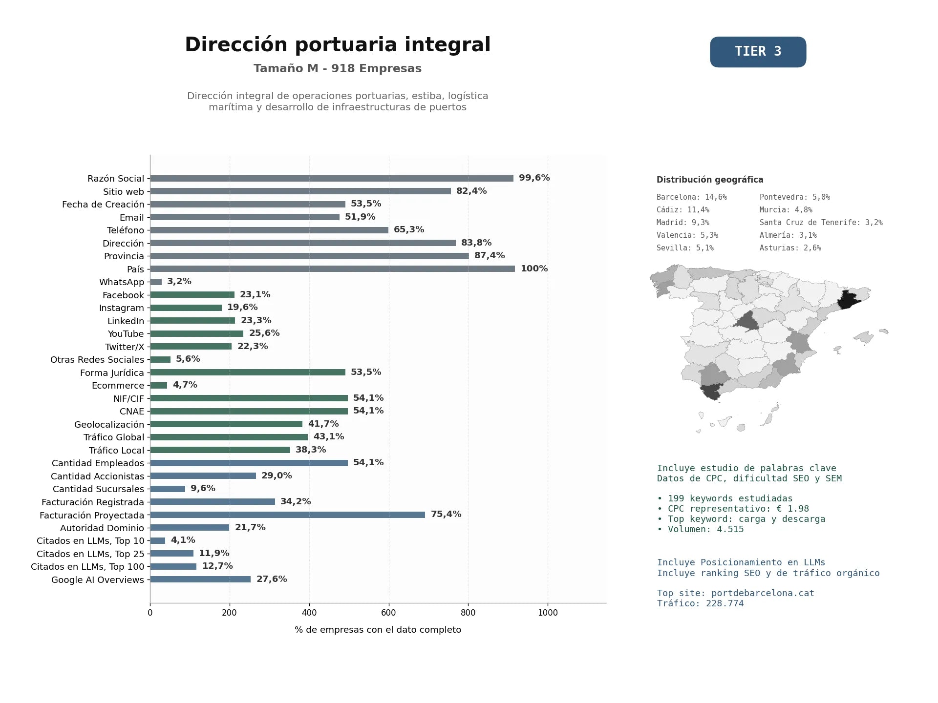 estudios de mercado y posicionamiento en chats de inteligencia artificial de Dirección integral de operaciones portuarias, estiba, logística marítima y desarrollo de infraestructuras de puertos