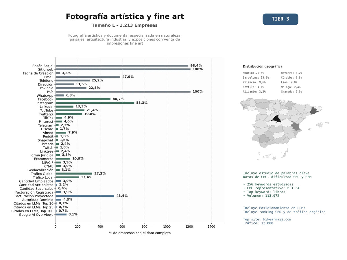 estudios de mercado y posicionamiento en chats de inteligencia artificial de Fotografía artística y documental especializada en naturaleza, paisajes, arquitectura industrial y exposiciones con venta de impresiones Fine Art