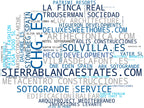 empresas españolas del sector viviendas de lujo, apartamentos de lujo, chalets de lujo