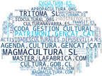 mapa de términos consultoría cultural, producción audiovisual, programación cultural