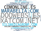 top competidores del nicho diseño web profesional, optimización SEO local, tienda online personalizada