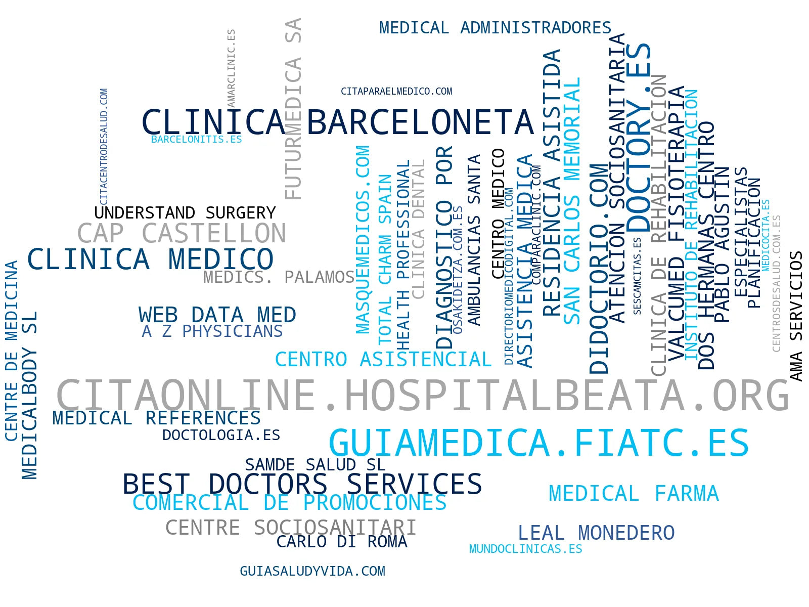 empresas mas grandes del nicho información salud, seguro salud, listado clínicas