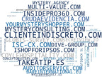 empresas españolas del sector auditorías de retail, cliente oculto, auditoría operativa