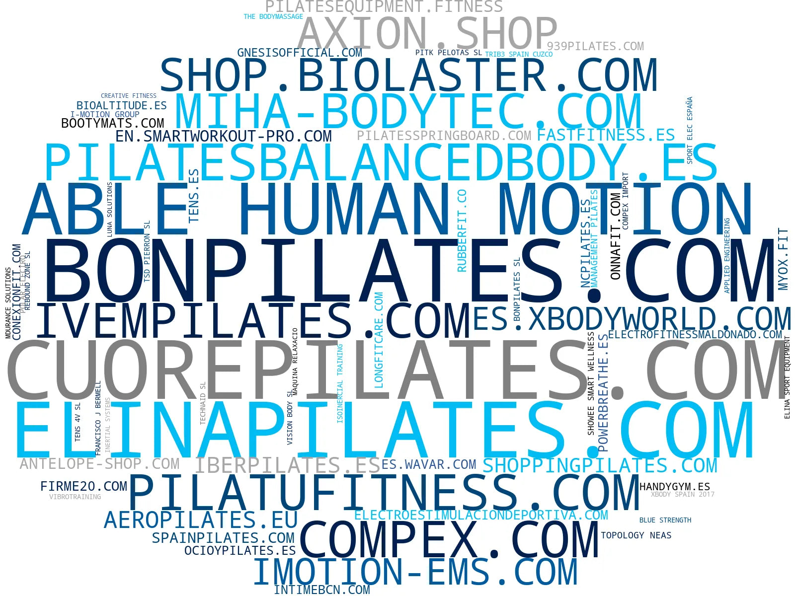 empresas mas grandes del nicho accesorios pilates, electroestimulación muscular, accesorios fitness