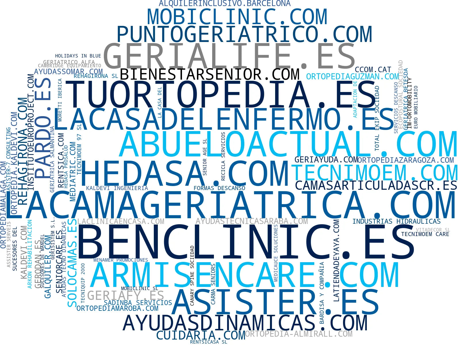 top competidores del nicho sillas de ruedas, camas eléctricas, sillas eléctricas
