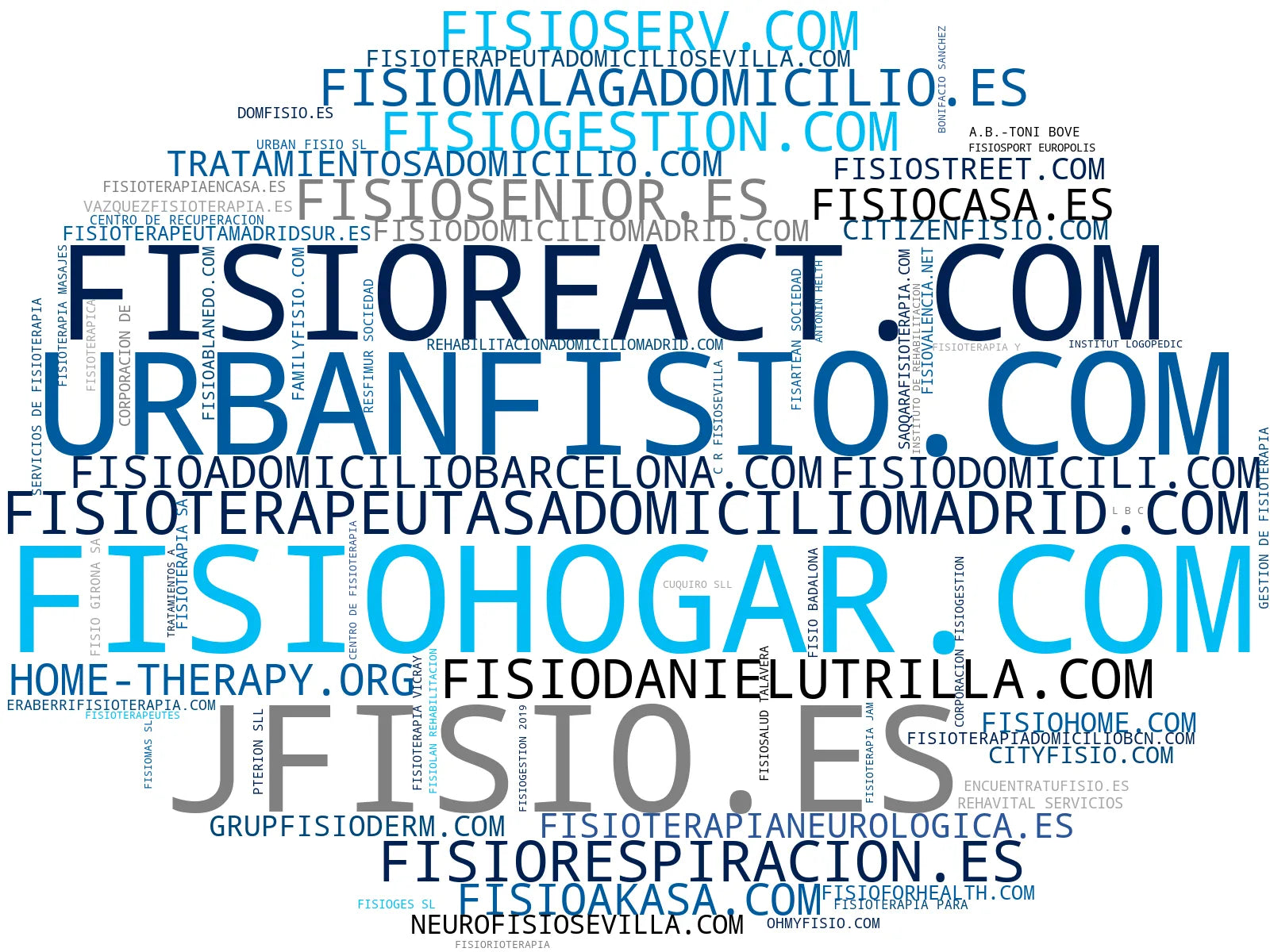 top competidores del nicho rehabilitación a domicilio, fisioterapia pediátrica, fisioterapia para empresas