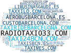 top competidores del nicho taxi urbano, taxi adaptado, transfer privado