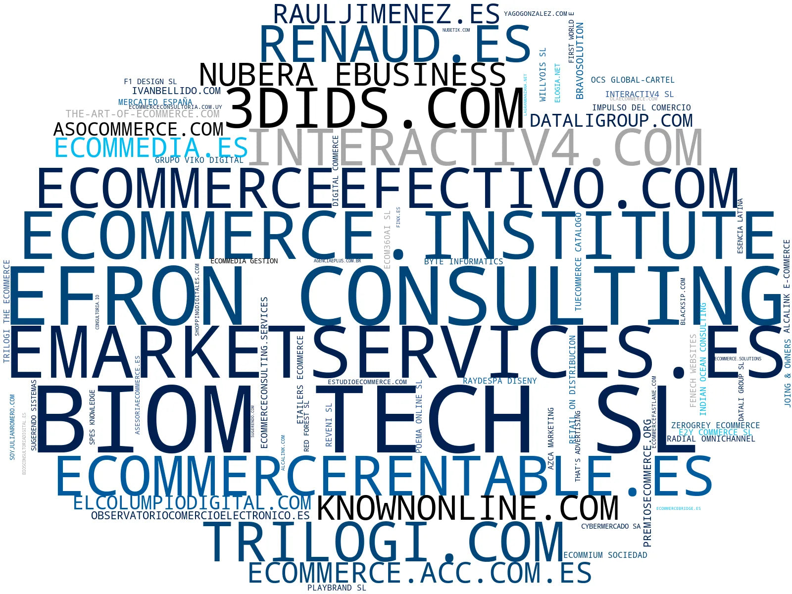 nube de conceptos consultoría eCommerce, consultoría digital, SEO eCommerce