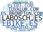 top competidores del nicho bicicleta eléctrica, patinetes eléctricos, triciclos eléctricos