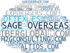 wordcloud de mercado consultoría internacional, expansión internacional, intermediación comercial