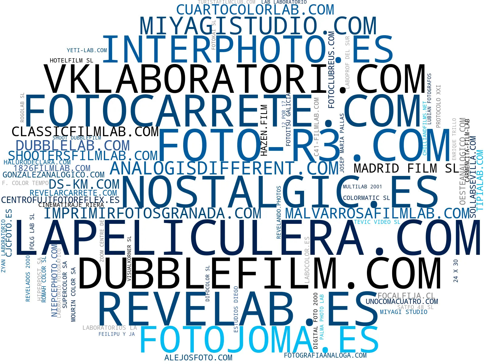 visualización de tendencias revelado de película, fotografía de gran formato, talleres de fotografía analógica