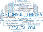 top empresas del rubro asesoría fiscal, auditoría financiera, consultoría empresarial