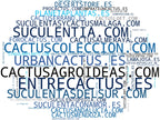 top empresas del rubro macetas cactus, cactus ornamentales, accesorios jardinería