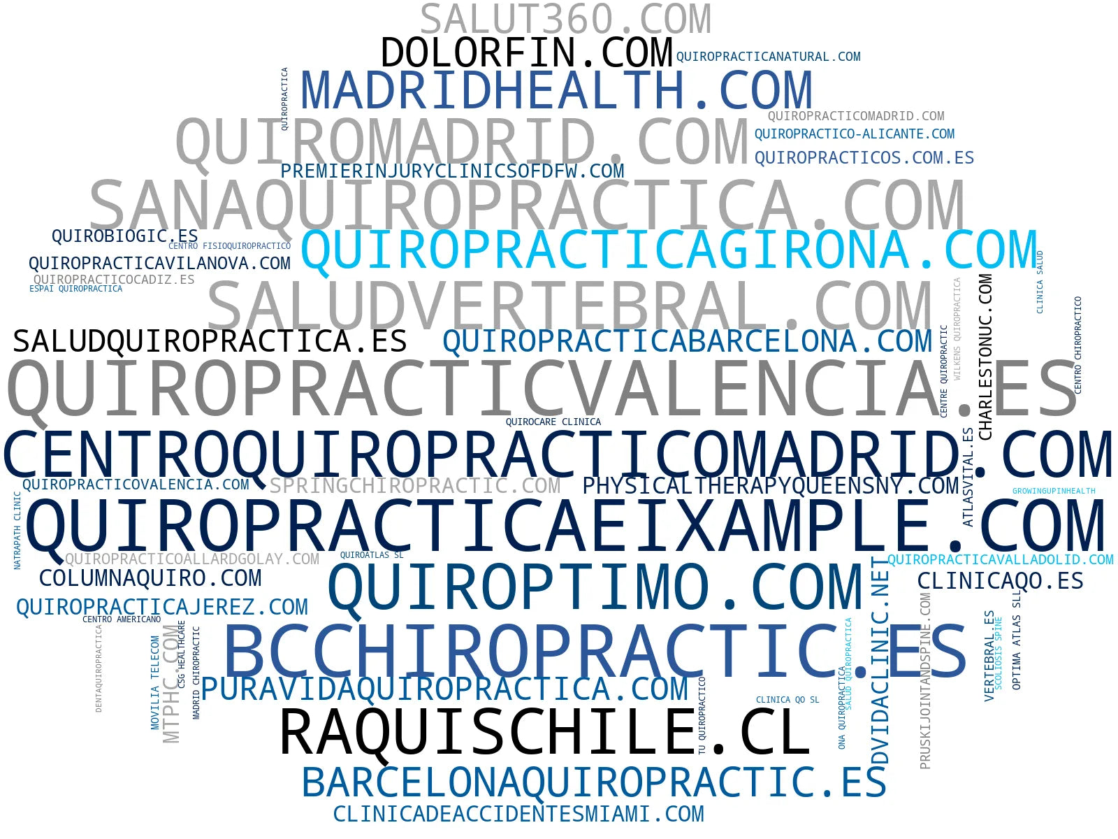 nube de conceptos quiropraxia, salud de columna, bienestar neuro-muscular