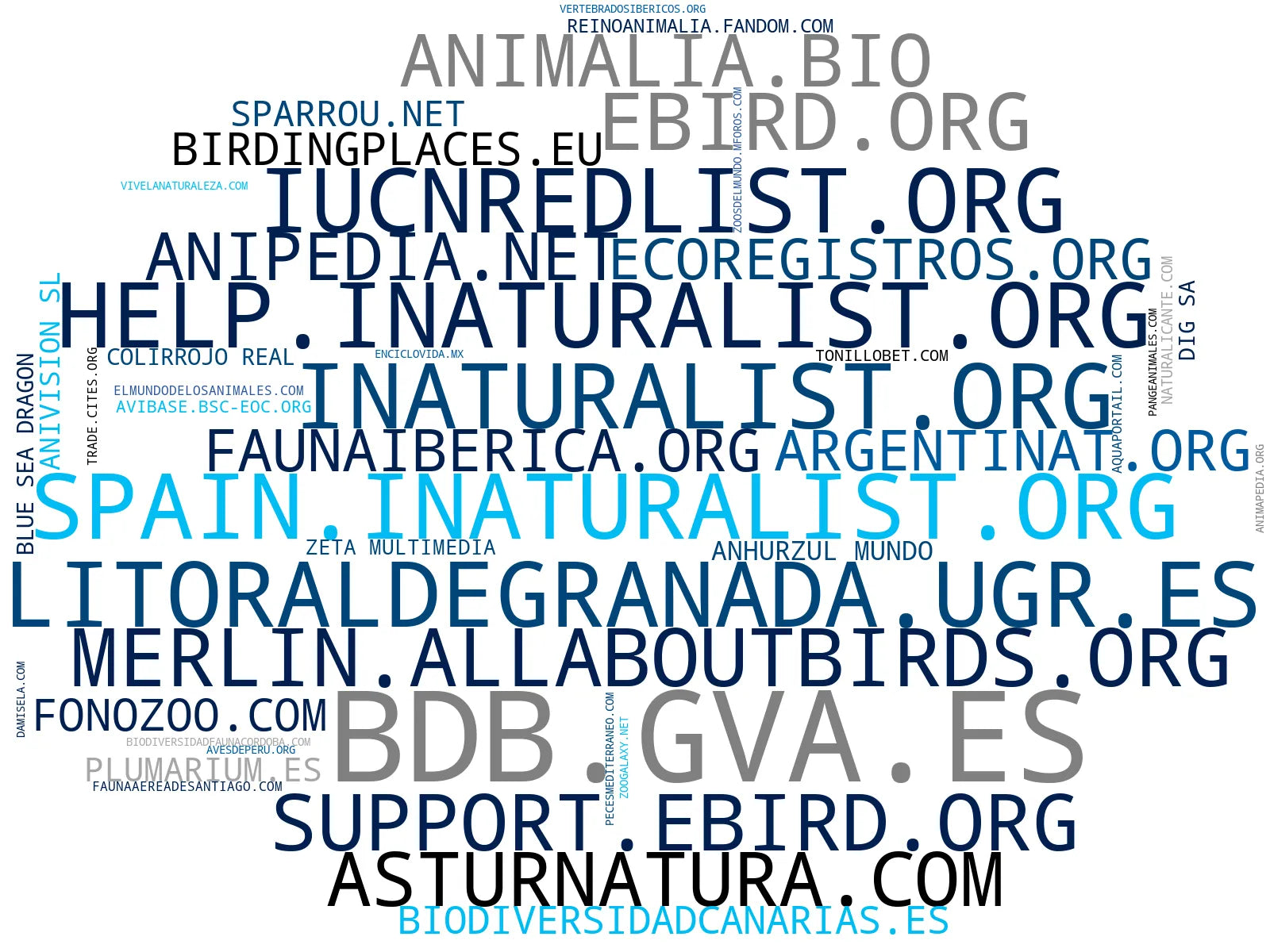 mapa de términos artículos científicos animales, identificación de aves, recursos educativos fauna
