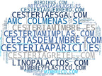 visualización de tendencias cestas de mimbre, cestas de esparto, capazos artesanales