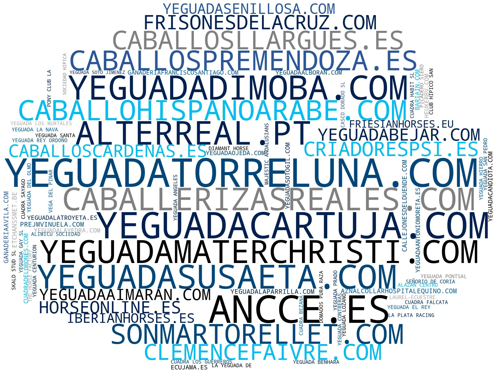 top empresas españa rubro caballos pura raza española, yeguas de cría, caballos frisón