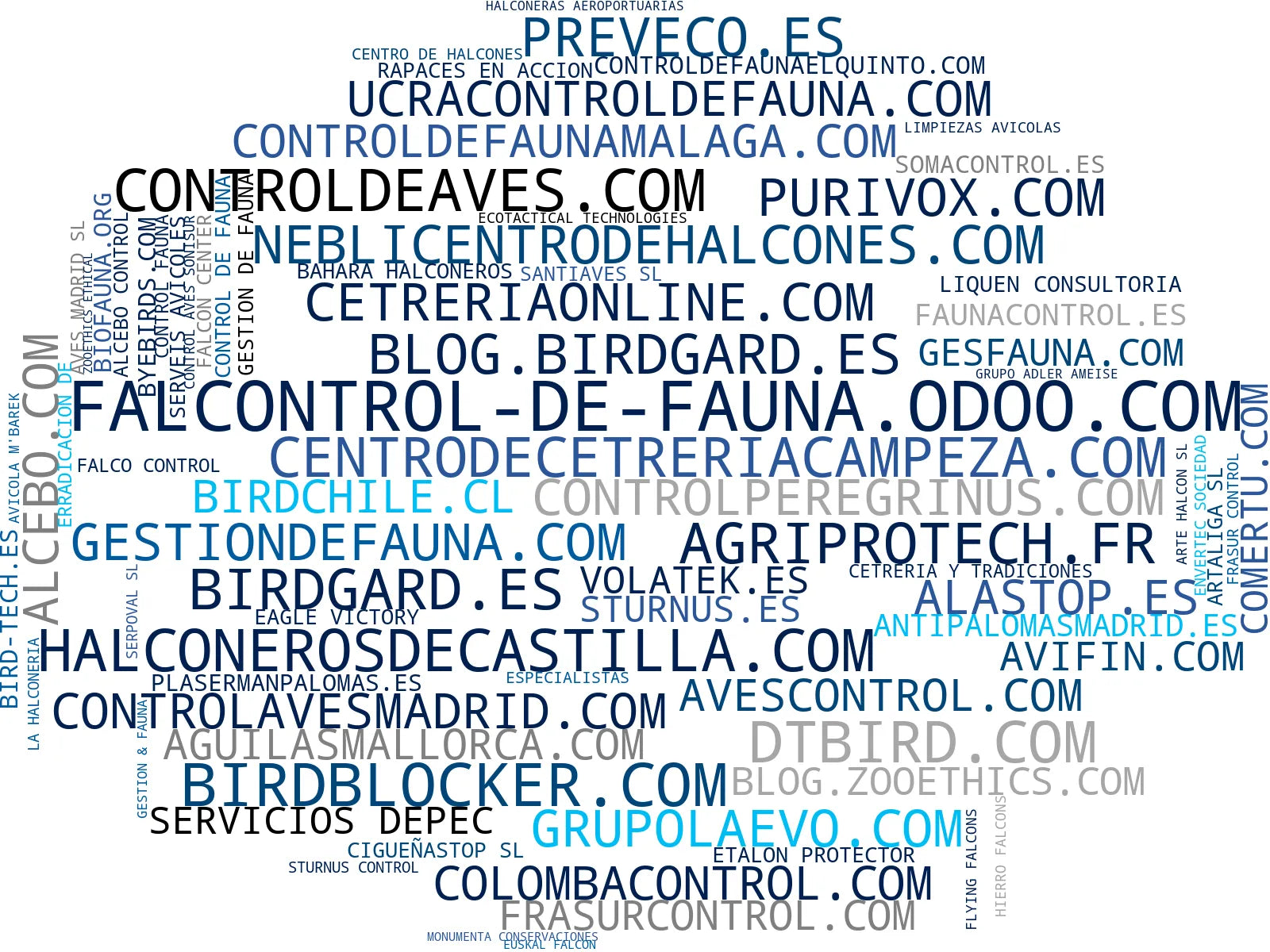 wordcloud de mercado cetrería profesional, control conejos, protección paneles solares aves