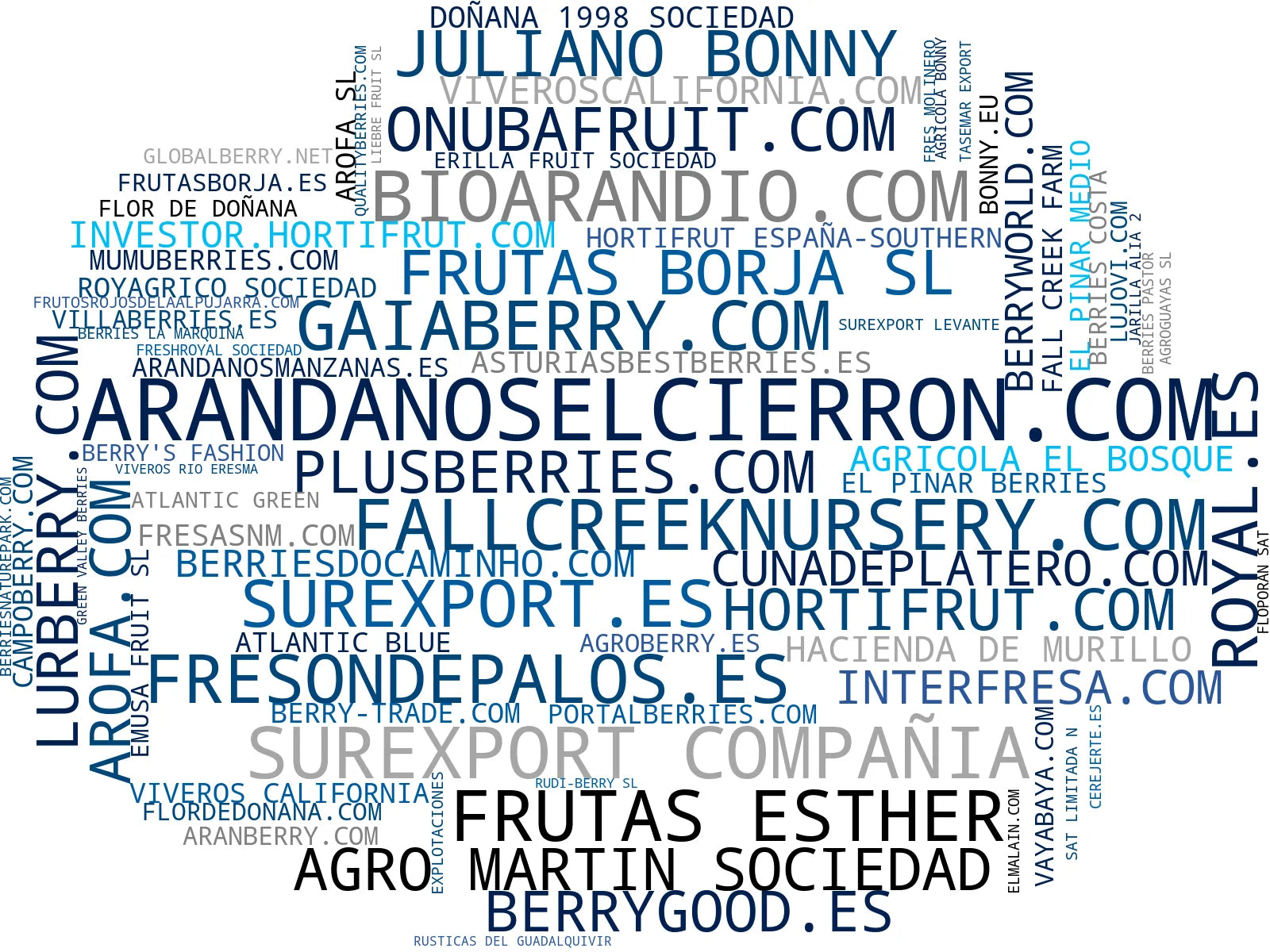 visualización de tendencias berries frescos, bayas silvestres, fresas