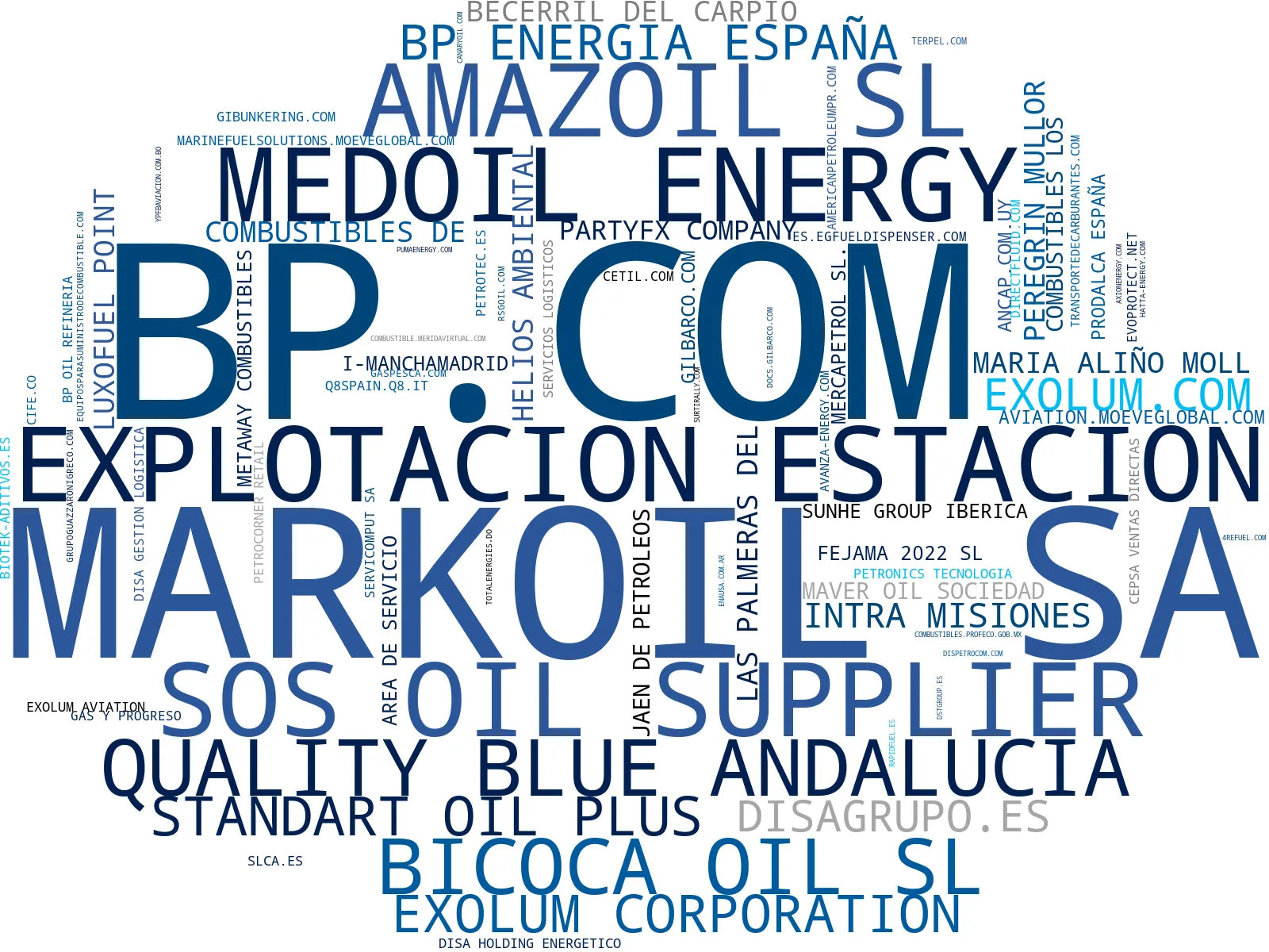empresas mas grandes del nicho distribución de combustibles, tarjetas de combustible, combustible de aviación