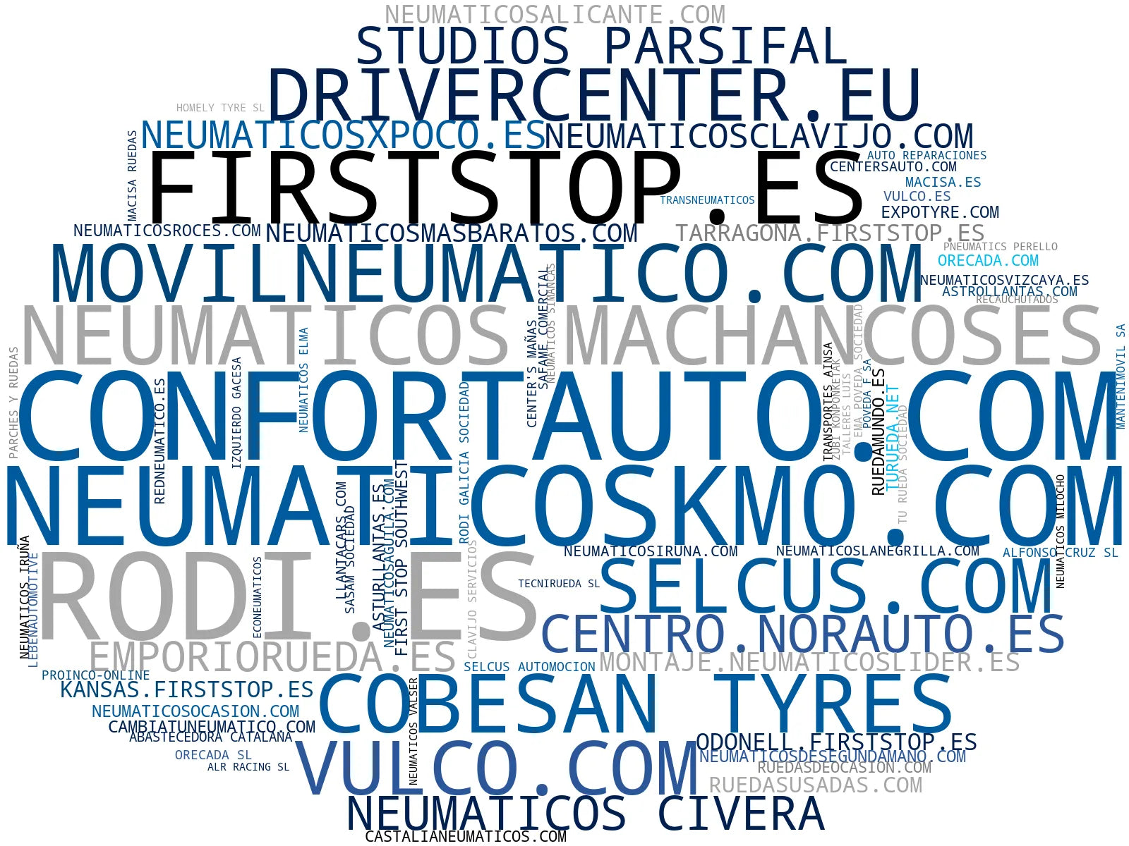 top competidores del nicho neumáticos, mecánica rápida, neumáticos seminuevos
