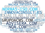 wordcloud de mercado consultoría ISO, certificación ISO, mejora continua