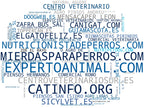 nube de conceptos accesorios para gatos, alimentación perros, nutrición canina