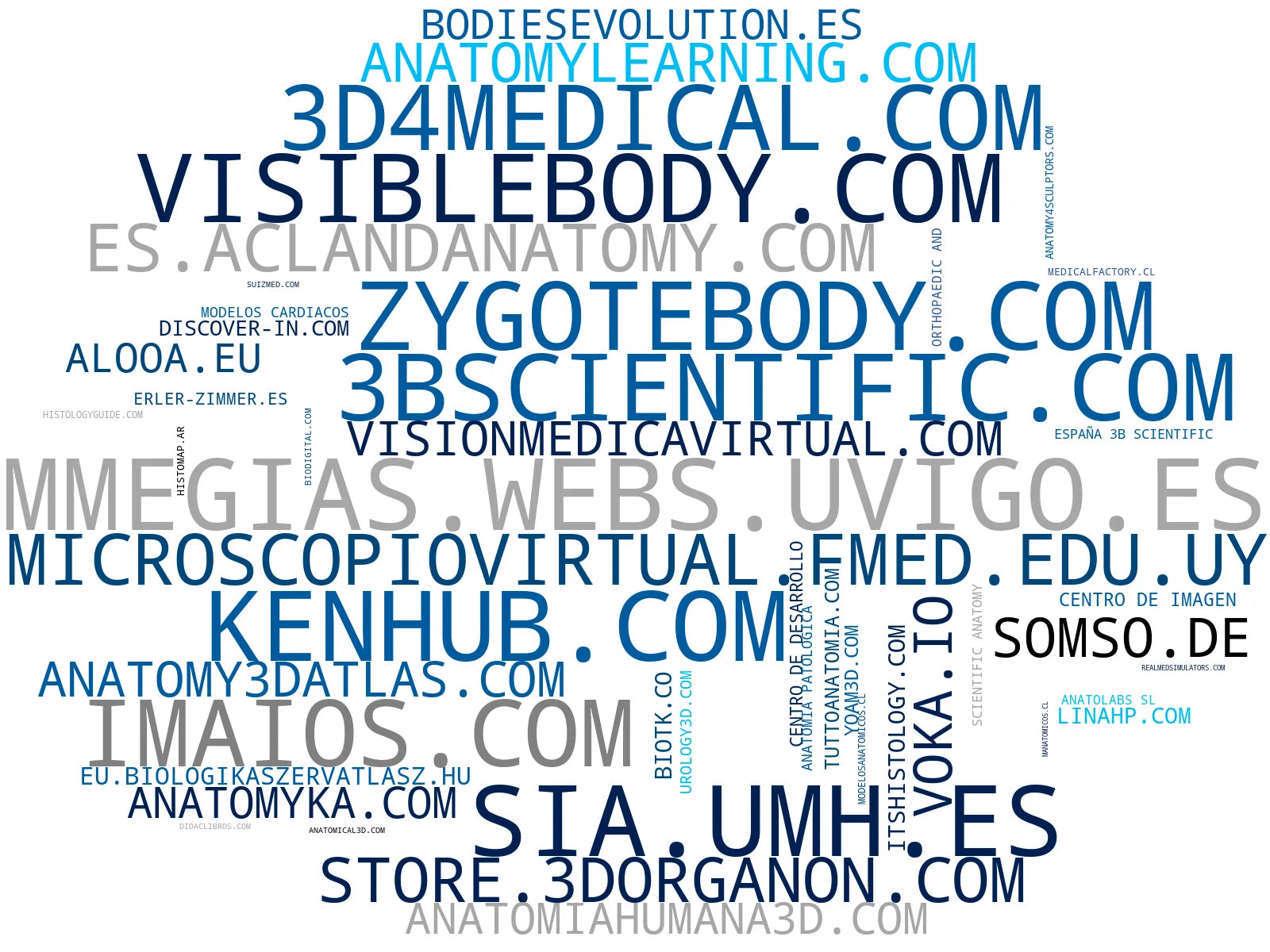wordcloud de mercado simuladores médicos, aplicación anatomía 3D, modelos zoológicos educativos
