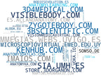 top competidores del nicho modelos anatómicos 3D, cursos anatomía online, material educativo anatomía