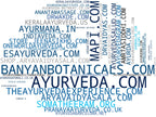 empresas mas grandes del nicho ayurveda treatments, ayurvedic wellness, ayurvedic oils