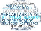 top empresas españa rubro desarrollo inmobiliario, logística integral, proyectos de energía
