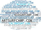 empresas mas grandes del nicho alquiler de tablas, surf para principiantes, kitesurf