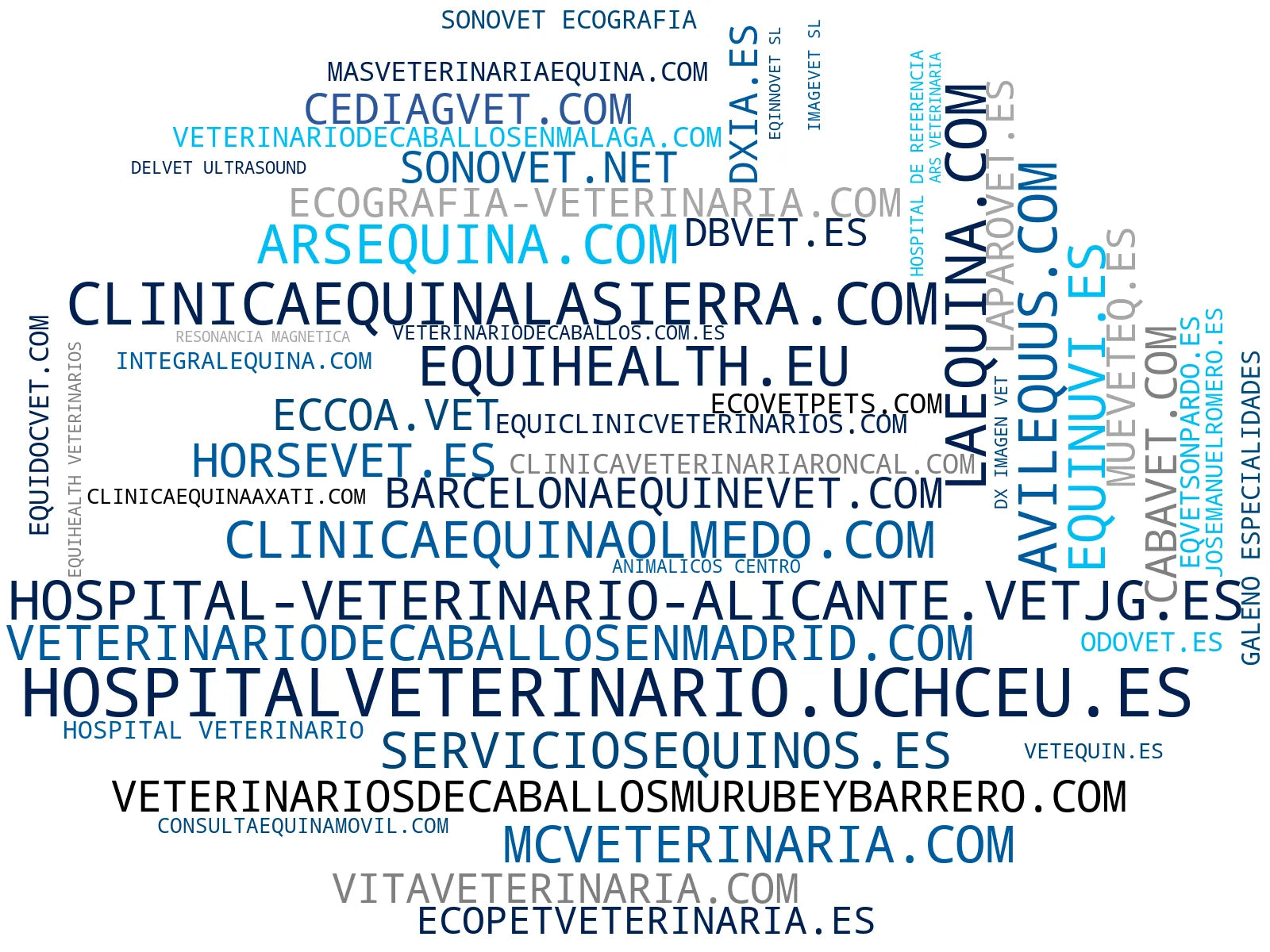 nube de conceptos diagnóstico por imagen, servicios de cirugía, ecocardiografía equina