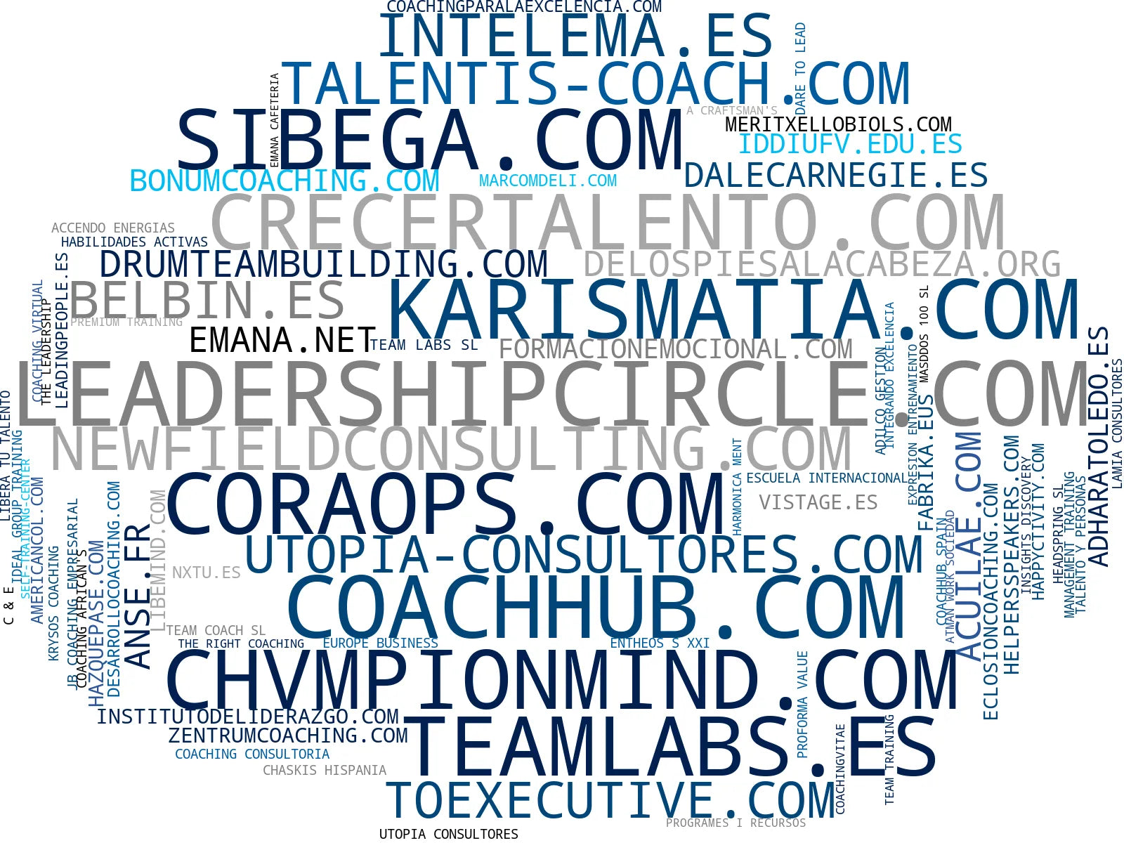 top empresas del rubro coaching empresarial, coaching de liderazgo, coaching personal
