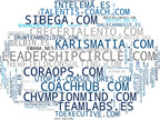top competidores del nicho coaching empresarial, programas de liderazgo, coaching de liderazgo