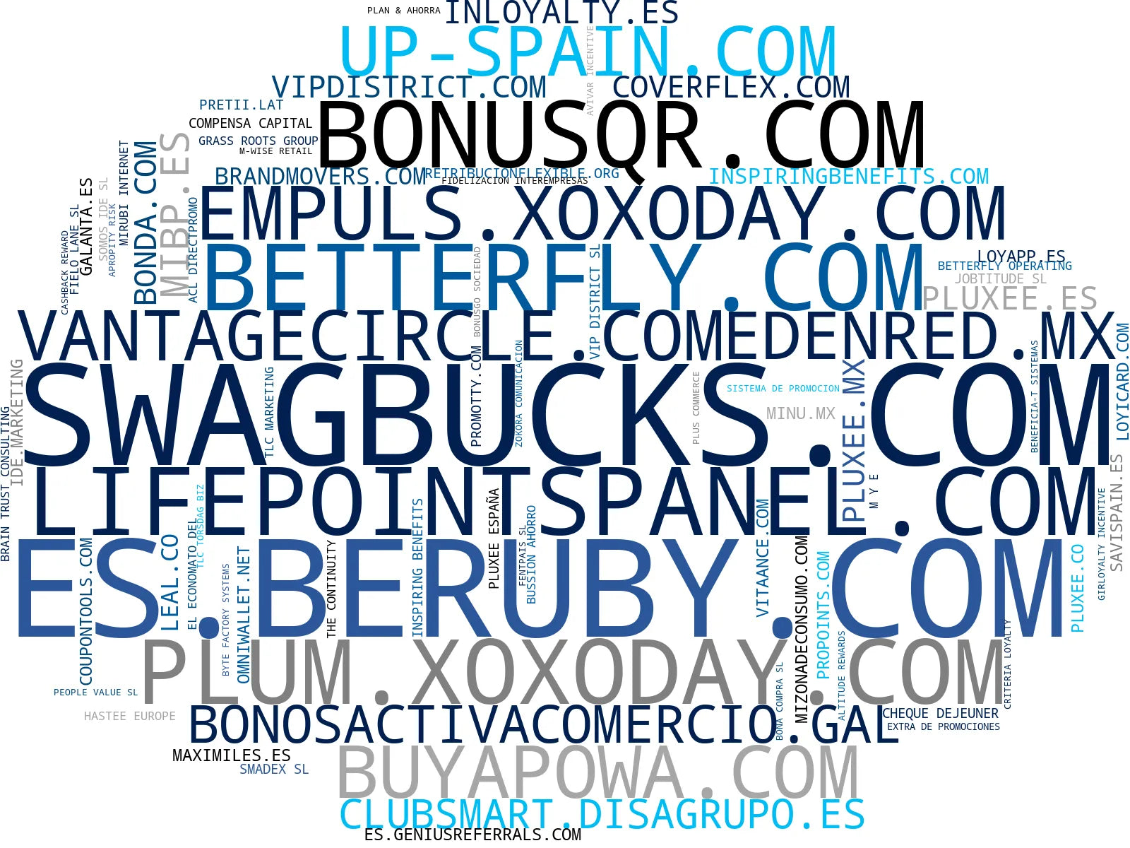 mapa de términos programa fidelidad, cupones digitales, retribución flexible