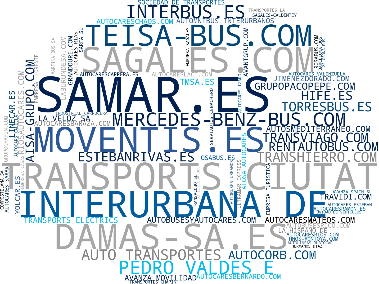 top competidores del nicho alquiler autocares, servicio de transporte, transporte empresarial