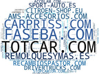 top empresas españa rubro enganches de remolque, espejos retrovisores, accesorios interiores coche