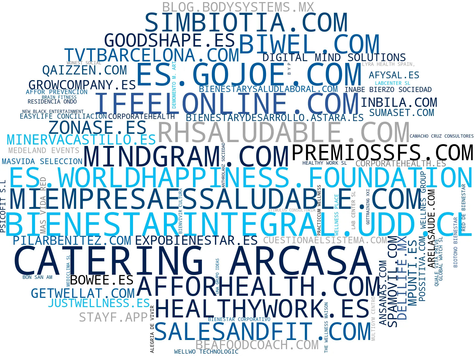 nube de conceptos bienestar corporativo, talleres de bienestar, consultoría de bienestar