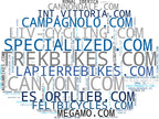 top competidores del nicho bicicletas eléctricas, cascos bicicleta, portabicicletas
