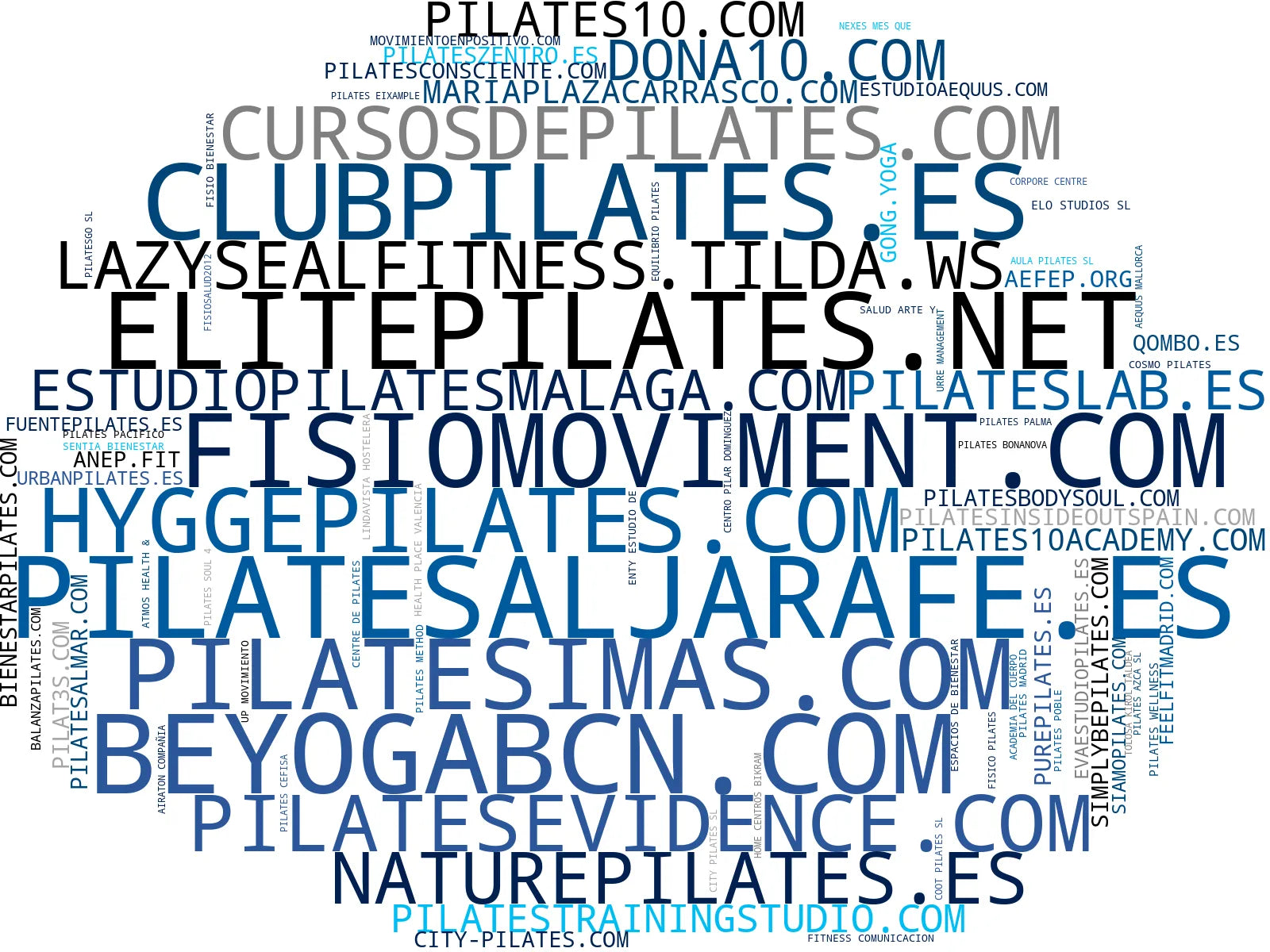 empresas mas grandes del nicho pilates grupal, pilates mat, masajes terapéuticos