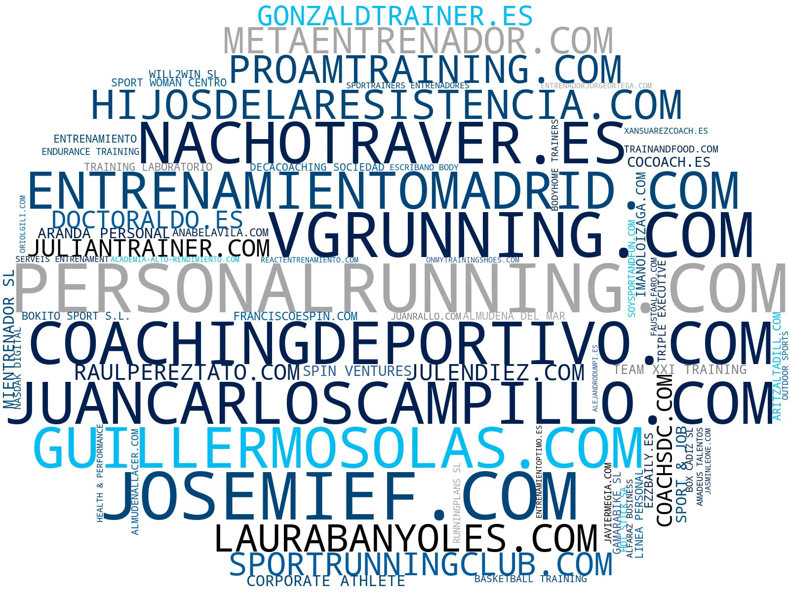 empresas mas grandes del nicho entrenamiento personal, entrenamiento de triatlón, entrenamiento online