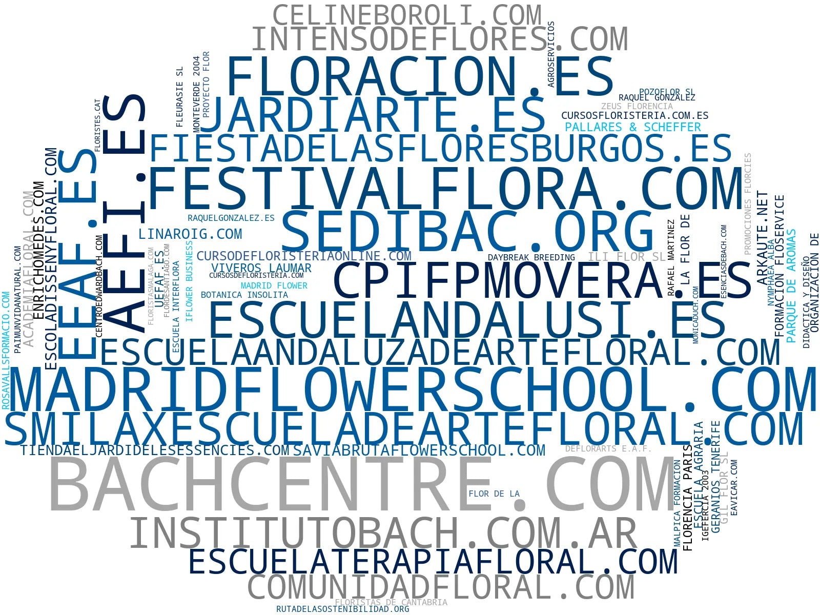 wordcloud de mercado terapia floral, flor de Santiago, decoración floral